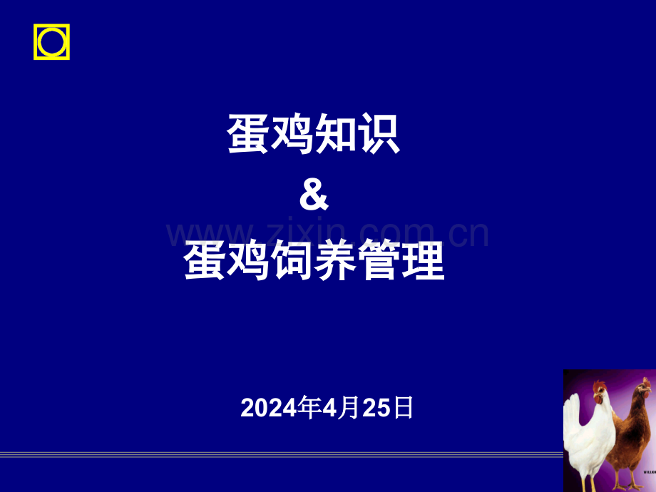 正大蛋鸡知识培训ppt.pptx_第1页