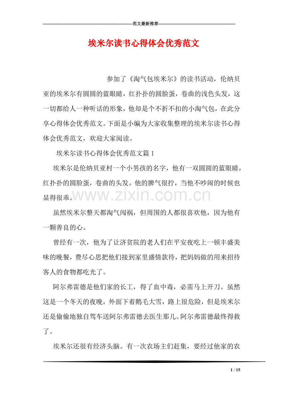 埃米尔读书心得体会优秀范文.doc_第1页