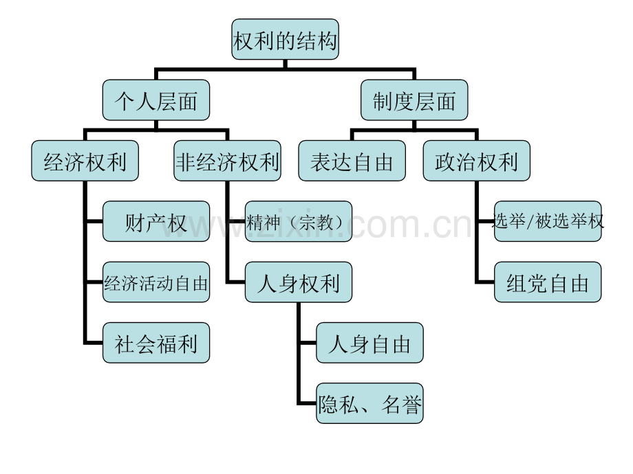 宪法基本权利.pptx_第2页