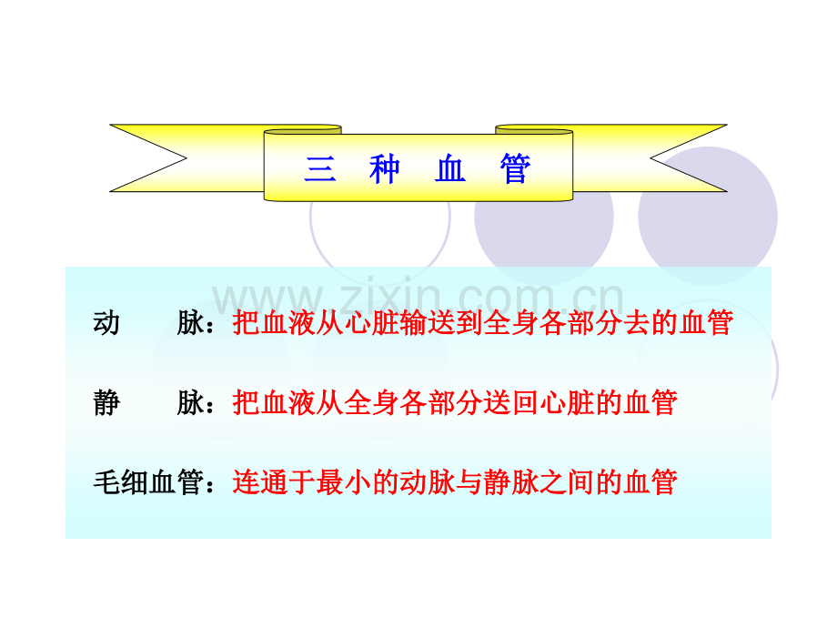 七年级下册生物血管.pptx_第2页