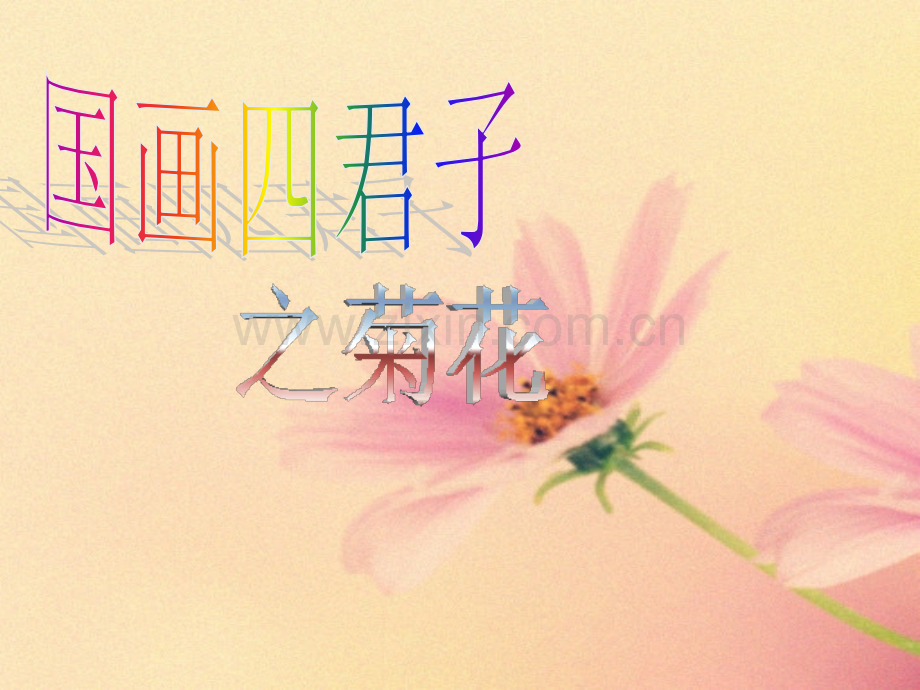 中国画菊花画法.pptx_第2页