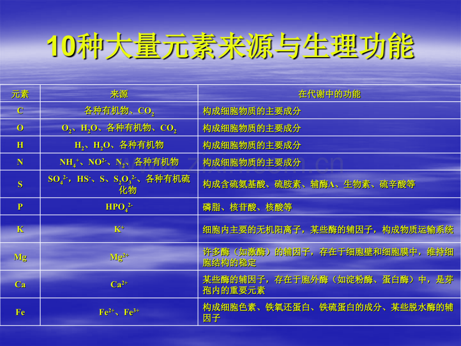 微生物生理学幻灯片.pptx_第3页