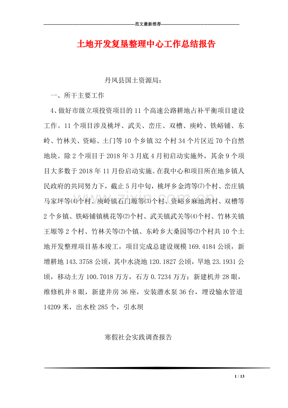 土地开发复垦整理中心工作总结报告.doc_第1页