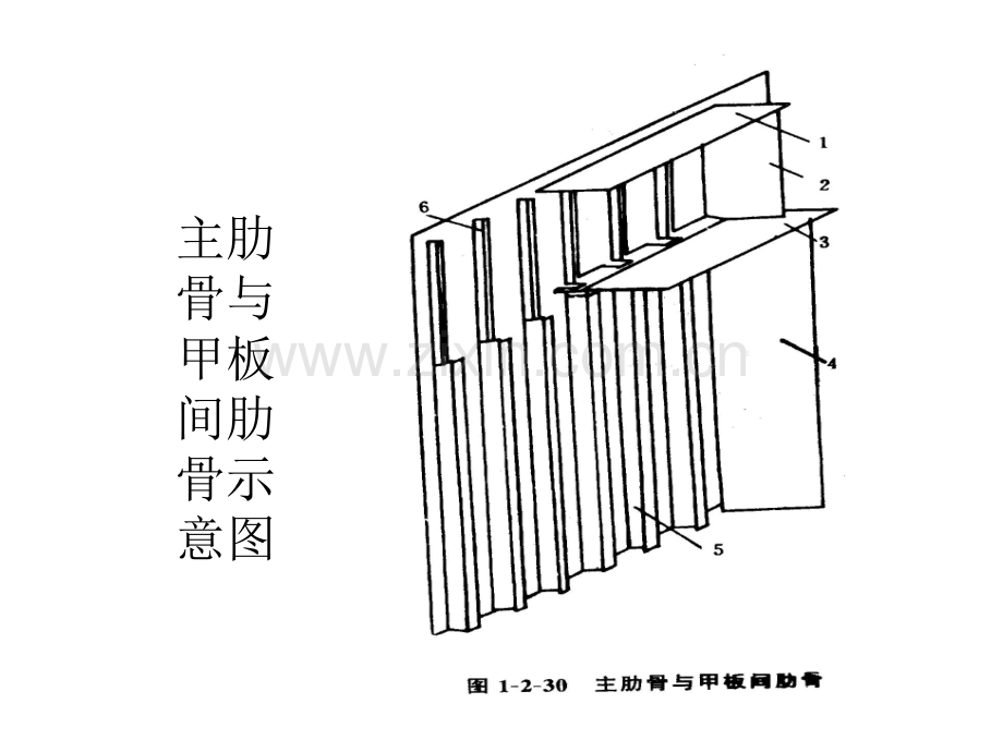 船体结构第七节舷侧结构.pptx_第2页