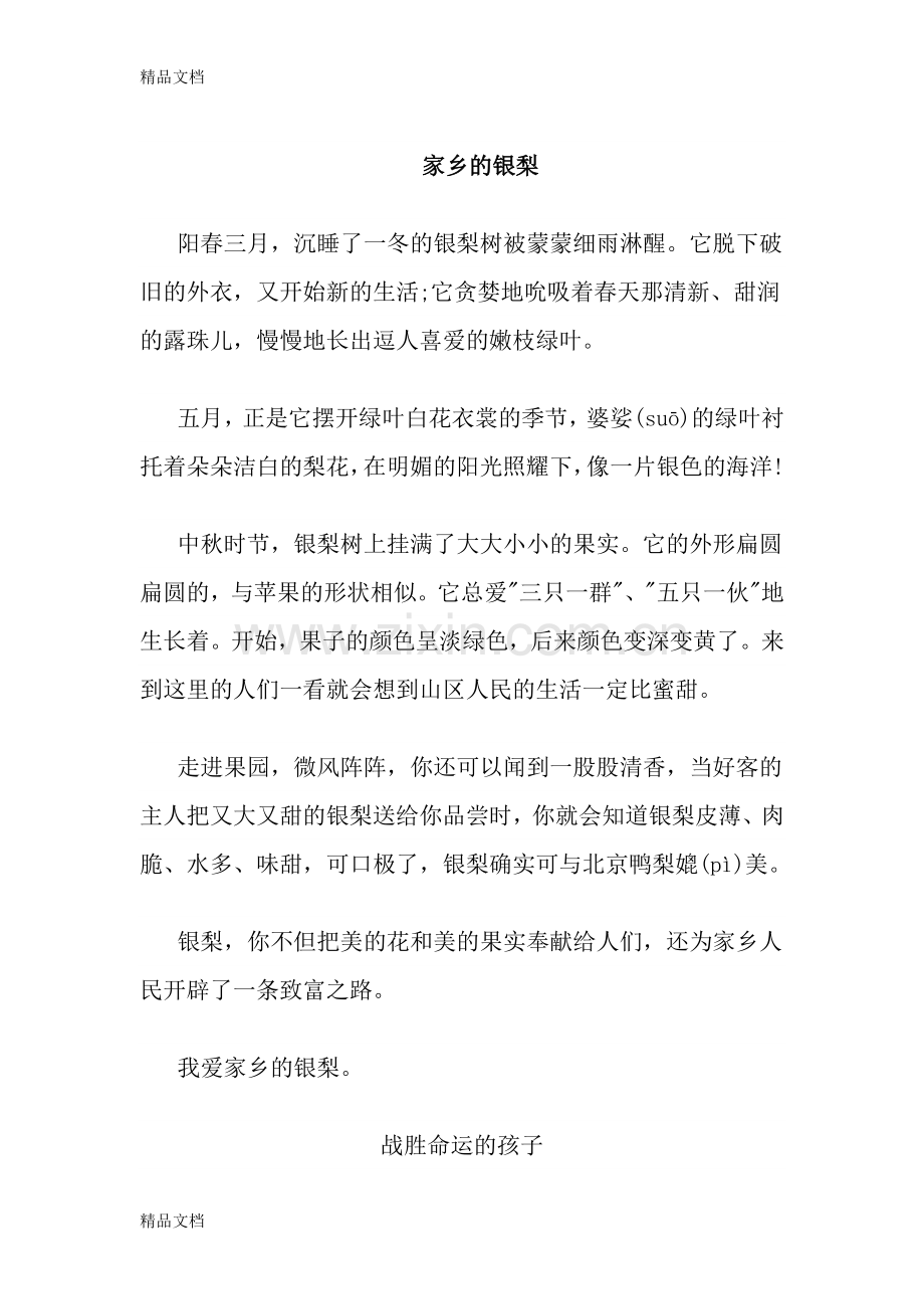 家乡的银梨教学文案.doc_第1页