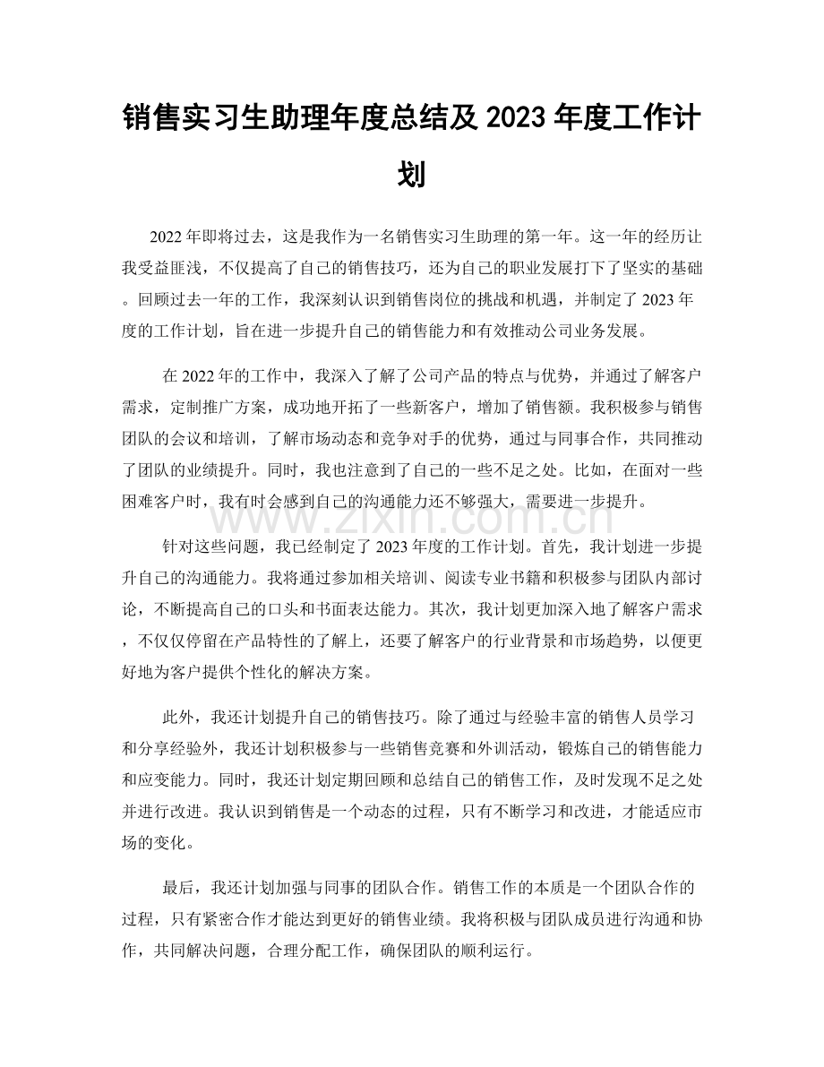 销售实习生助理年度总结及2023年度工作计划.docx_第1页