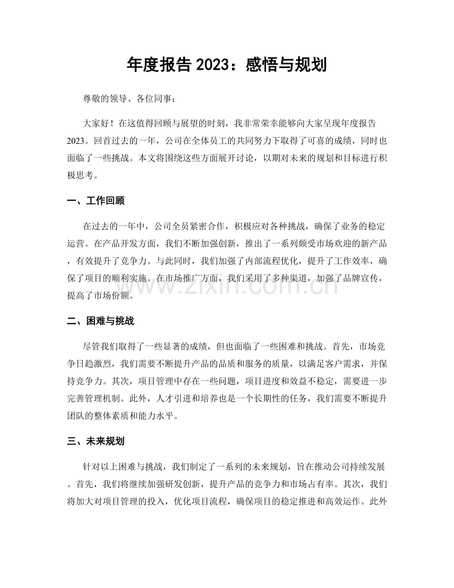 年度报告2023：感悟与规划.docx_第1页