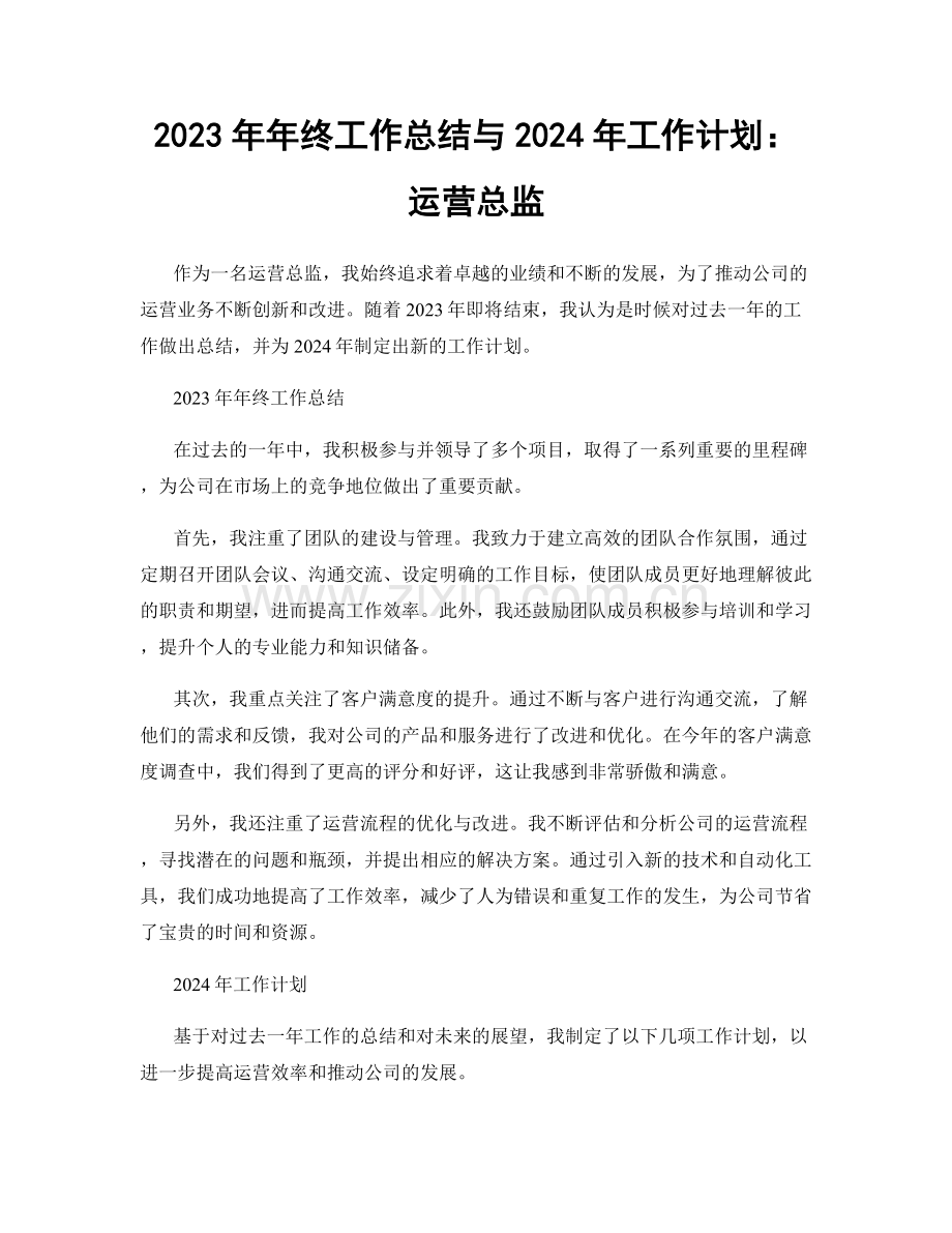 2023年年终工作总结与2024年工作计划：运营总监.docx_第1页