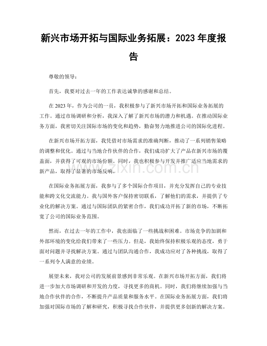 新兴市场开拓与国际业务拓展：2023年度报告.docx_第1页