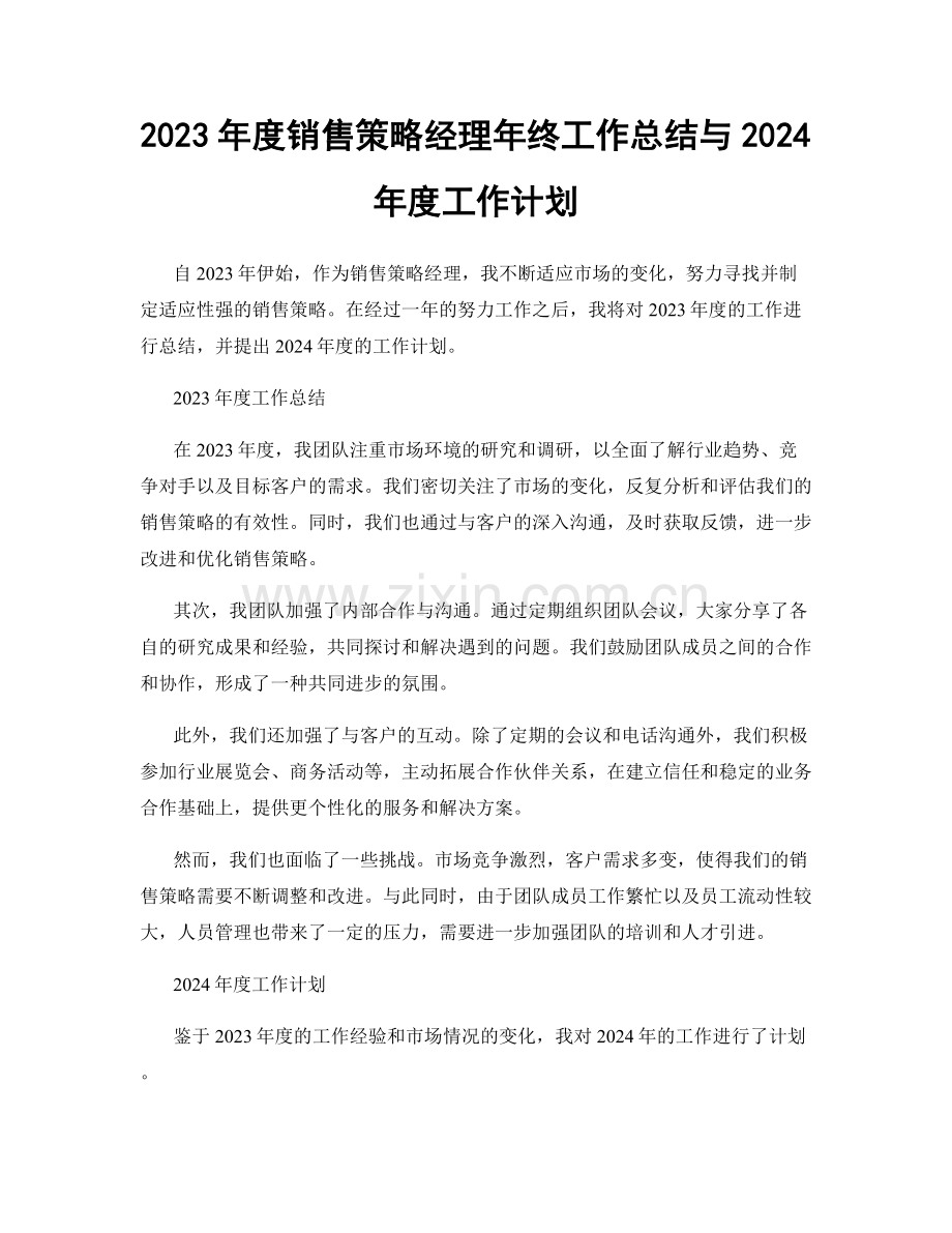 2023年度销售策略经理年终工作总结与2024年度工作计划.docx_第1页