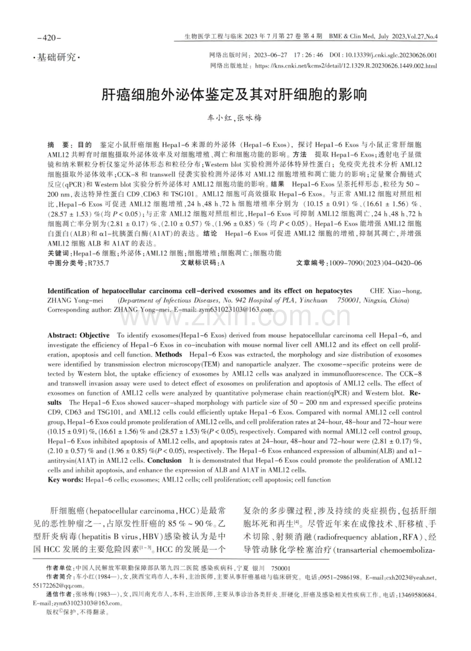 肝癌细胞外泌体鉴定及其对肝细胞的影响.pdf_第1页