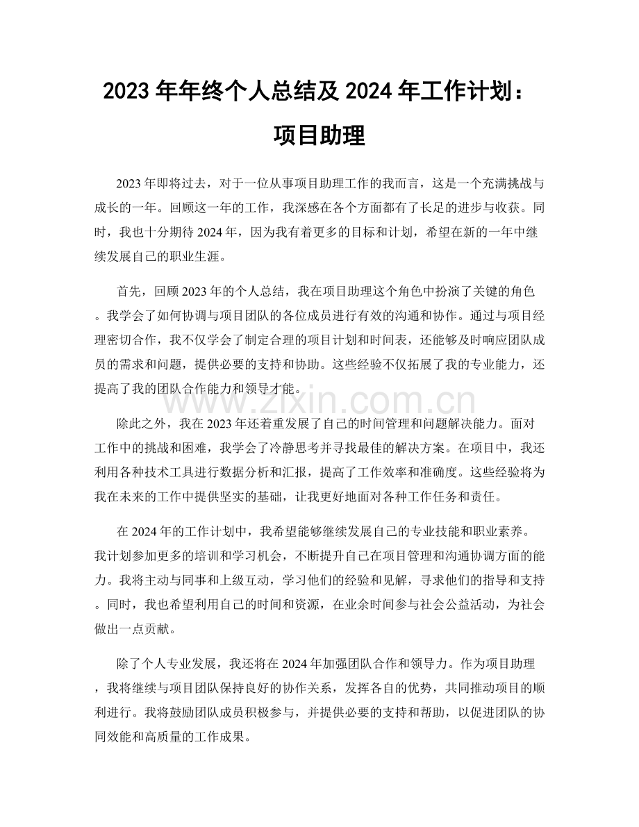 2023年年终个人总结及2024年工作计划：项目助理.docx_第1页