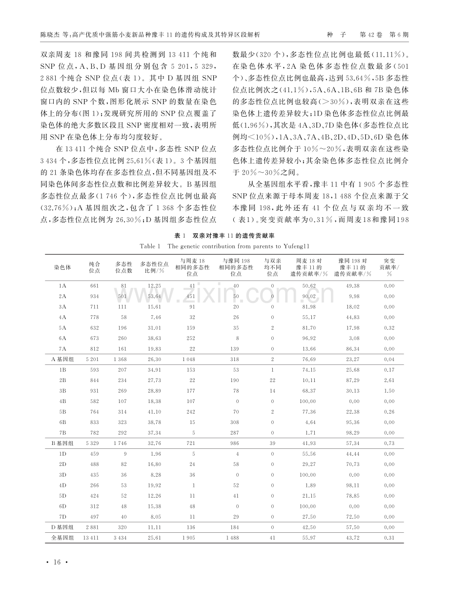 高产优质中强筋小麦新品种豫丰11的遗传构成及其特异区段解析.pdf_第3页