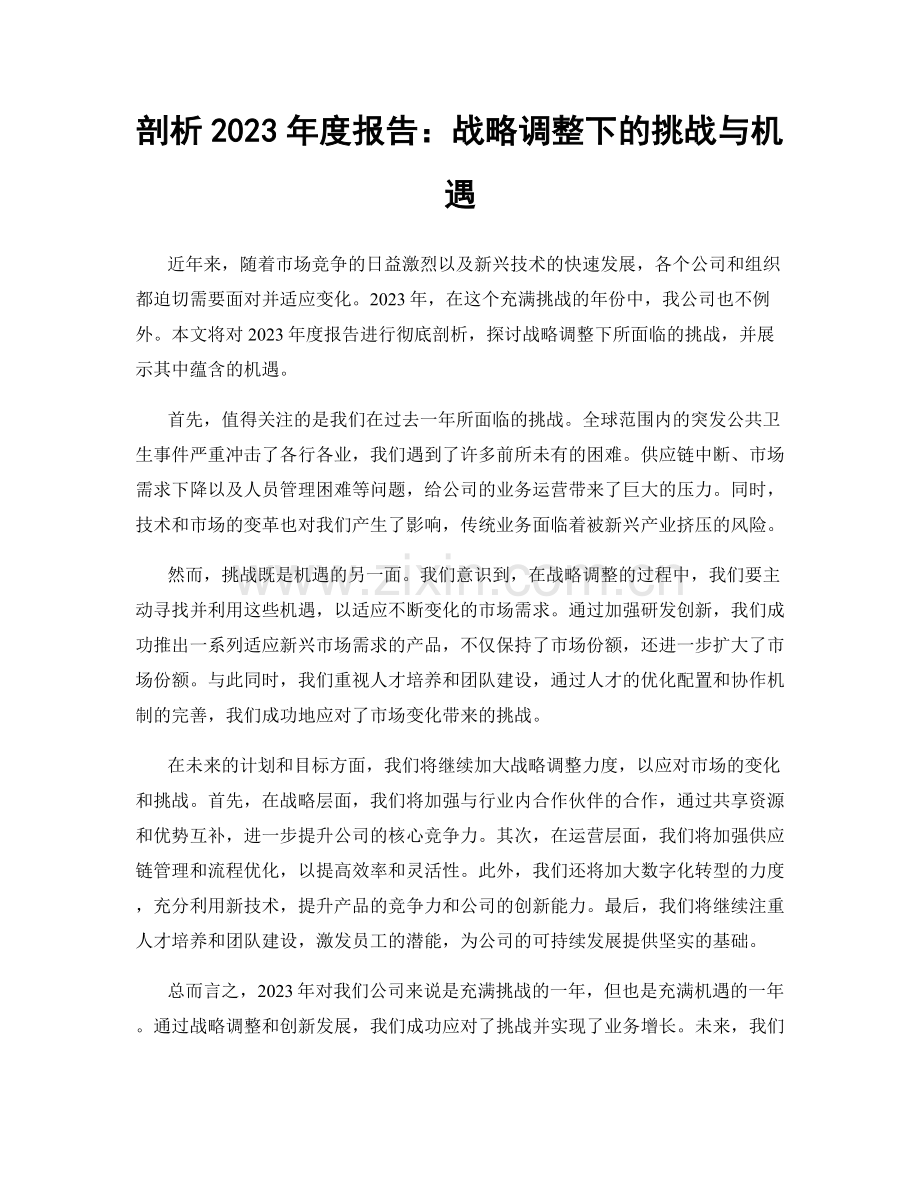 剖析2023年度报告：战略调整下的挑战与机遇.docx_第1页