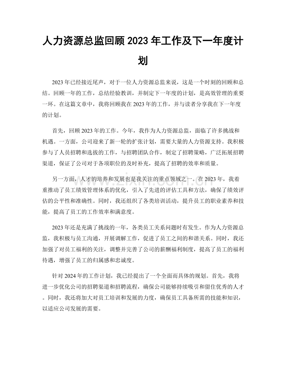 人力资源总监回顾2023年工作及下一年度计划.docx_第1页