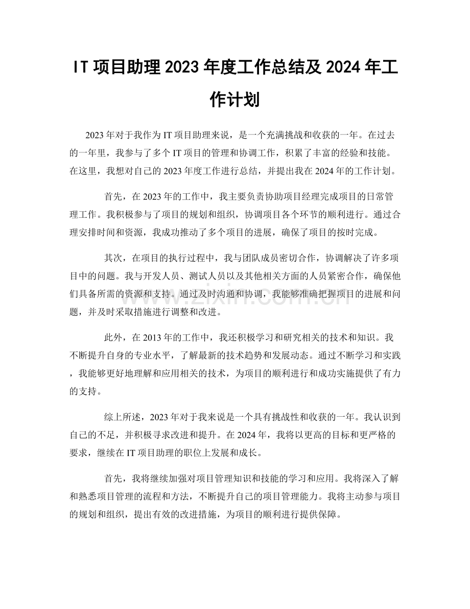 IT项目助理2023年度工作总结及2024年工作计划.docx_第1页