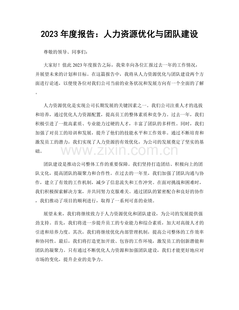 2023年度报告：人力资源优化与团队建设.docx_第1页