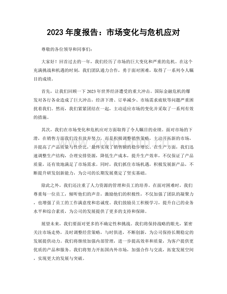 2023年度报告：市场变化与危机应对.docx_第1页