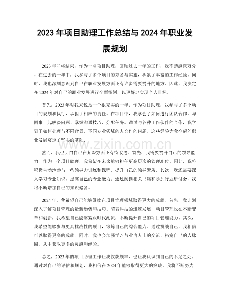 2023年项目助理工作总结与2024年职业发展规划.docx_第1页