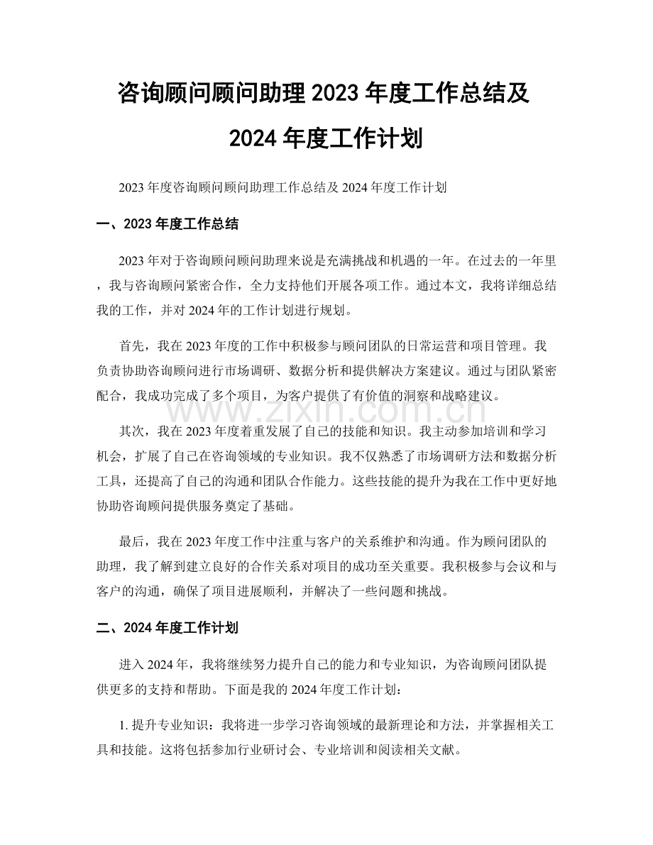 咨询顾问顾问助理2023年度工作总结及2024年度工作计划.docx_第1页