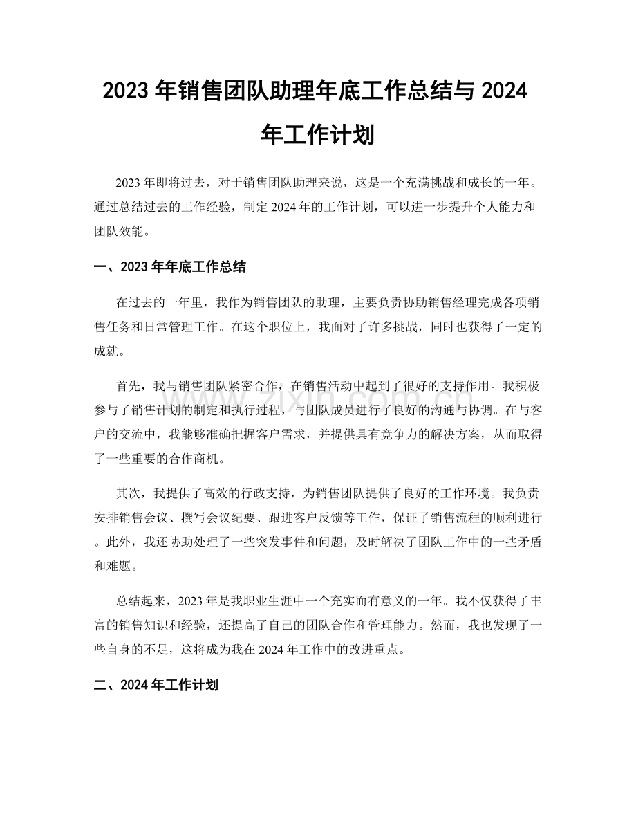 2023年销售团队助理年底工作总结与2024年工作计划.docx_第1页