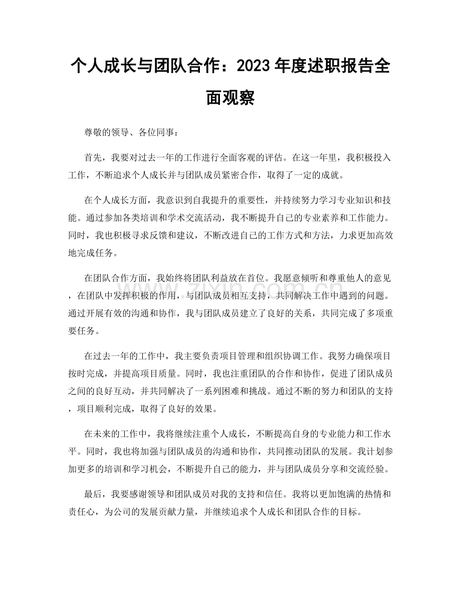 个人成长与团队合作：2023年度述职报告全面观察.docx_第1页