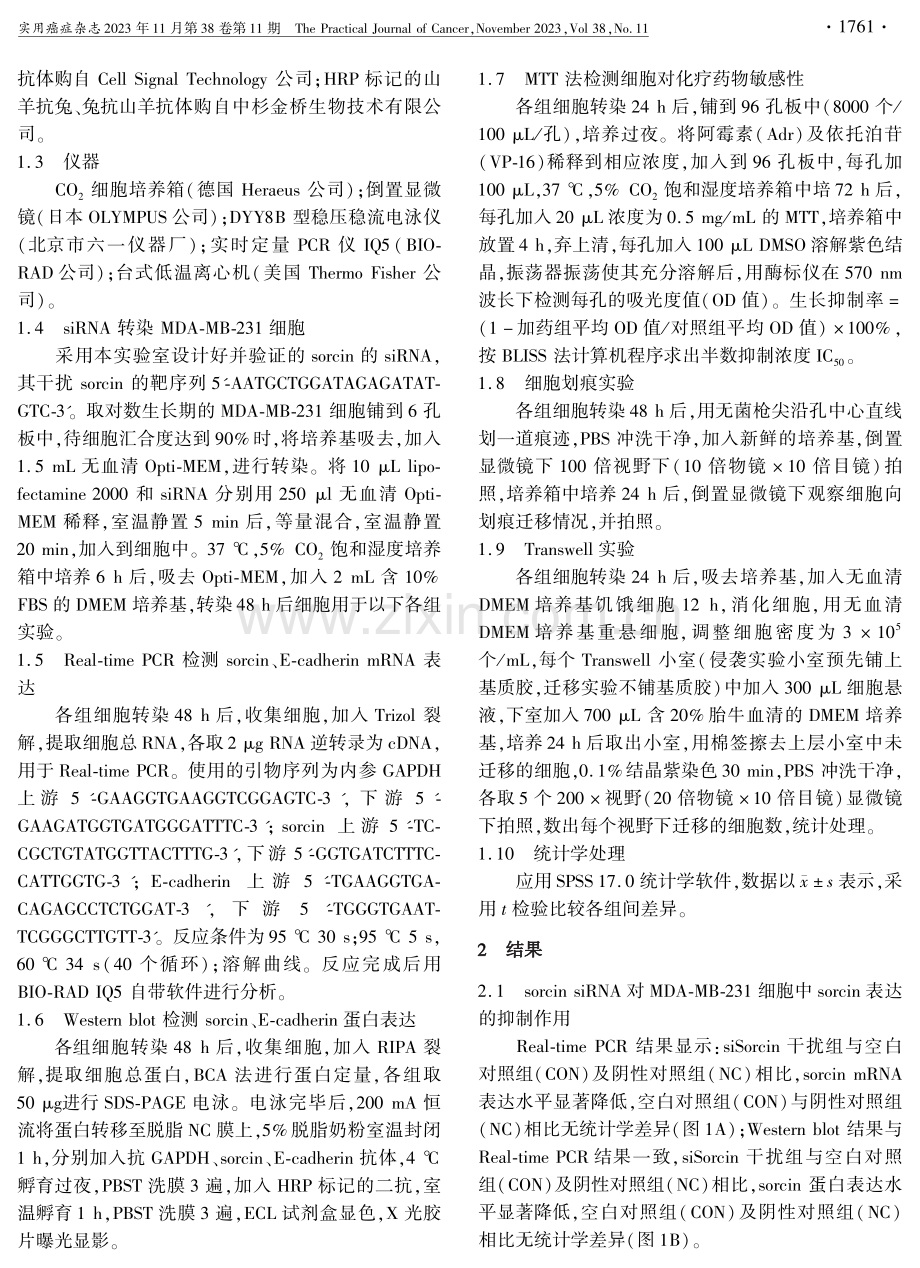 干扰sorcin抑制乳腺癌细胞的侵袭转移.pdf_第2页