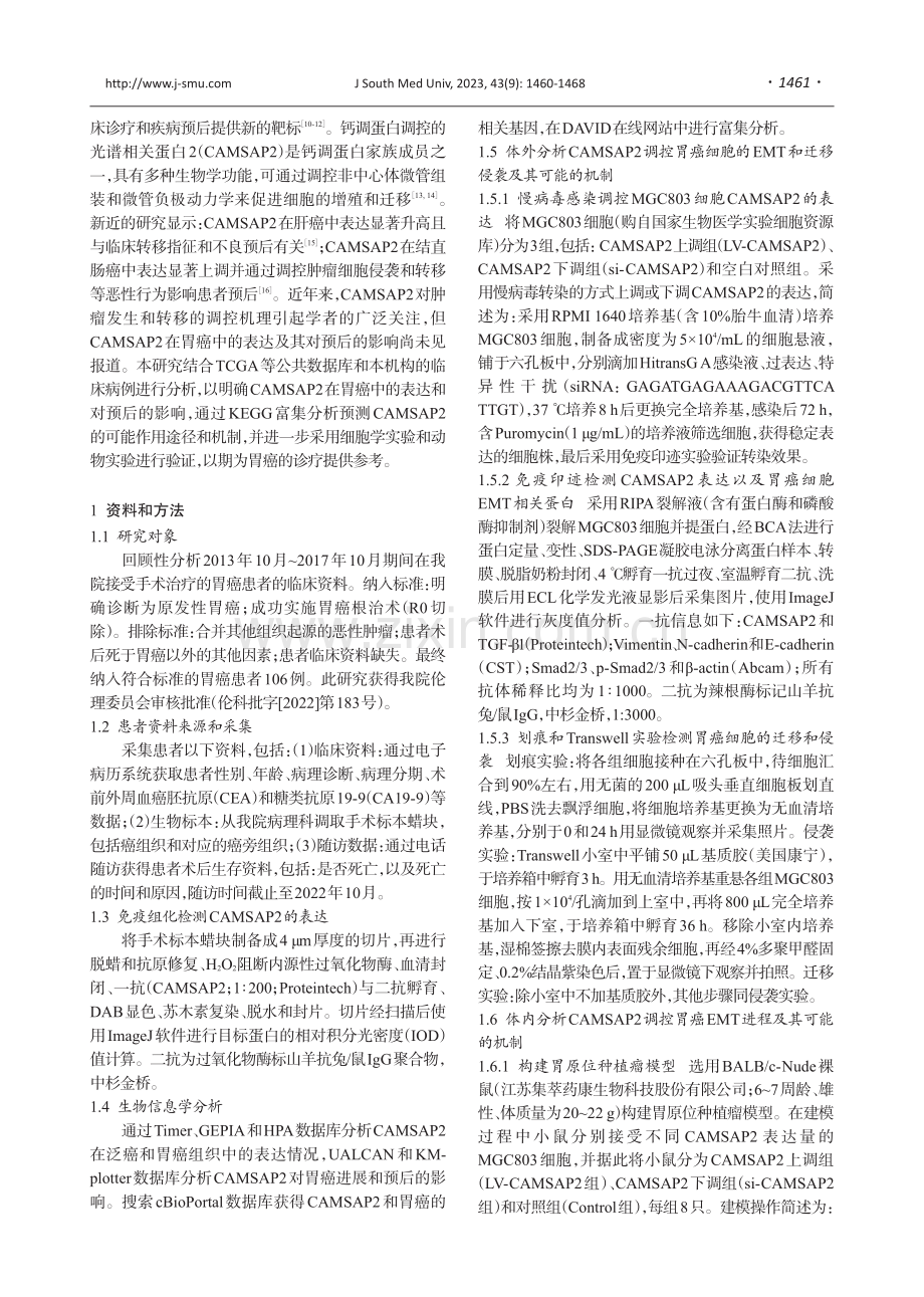 高表达CAMSAP2通过上调TGF-β信号促进胃癌细胞的侵袭和转移.pdf_第2页