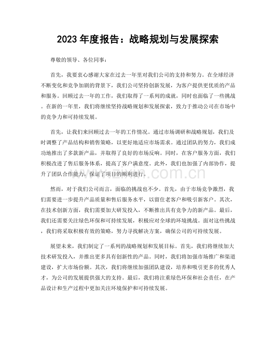 2023年度报告：战略规划与发展探索.docx_第1页