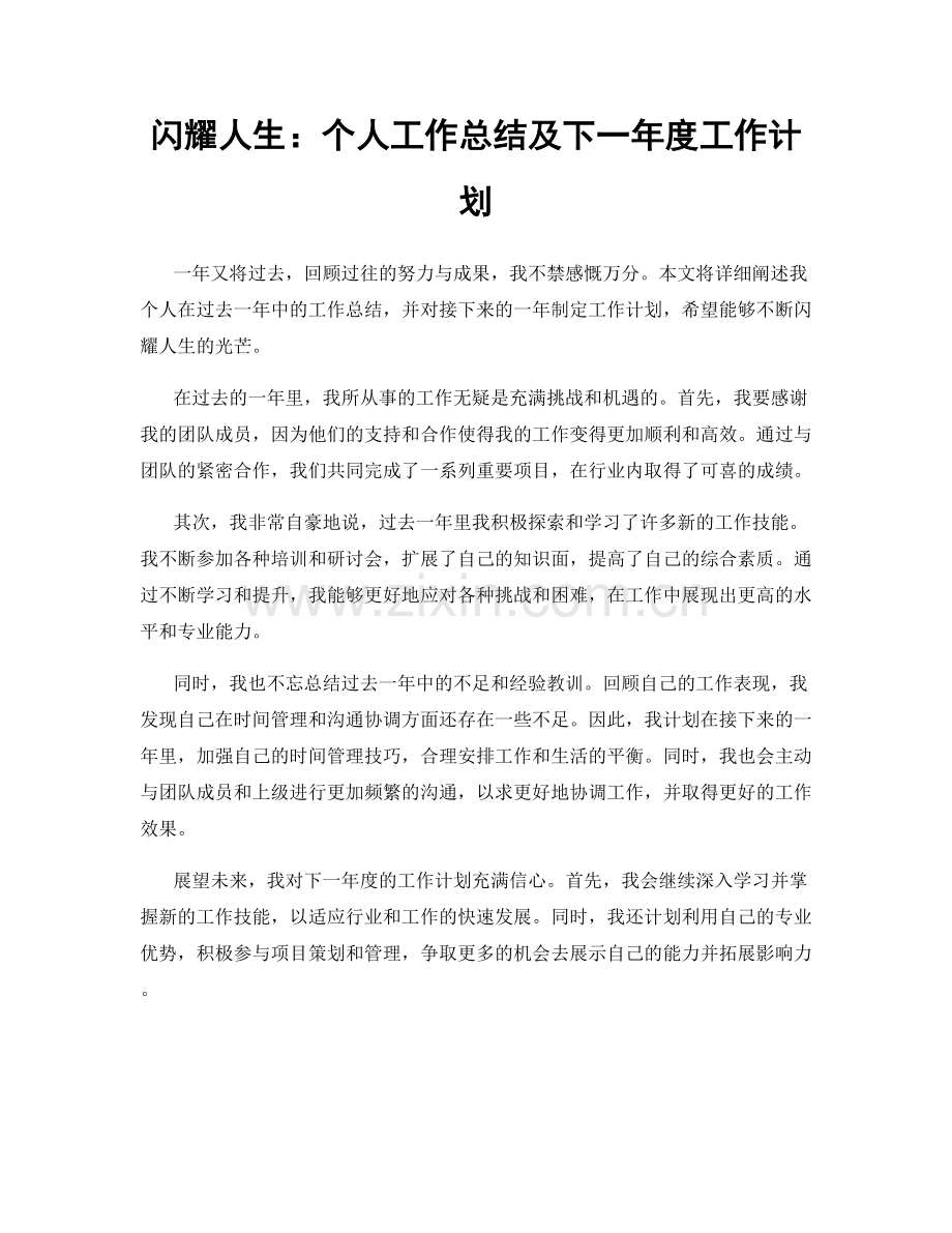 闪耀人生：个人工作总结及下一年度工作计划.docx_第1页