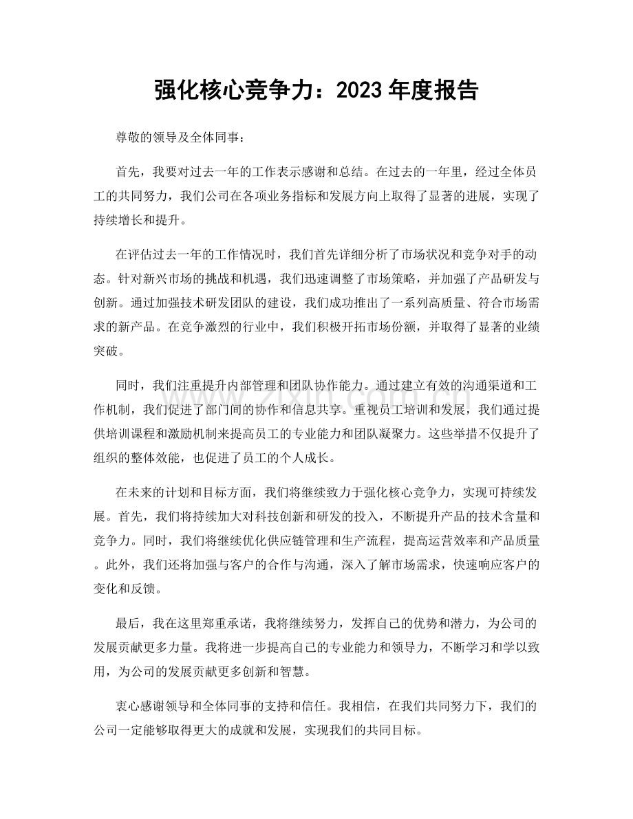 强化核心竞争力：2023年度报告.docx_第1页