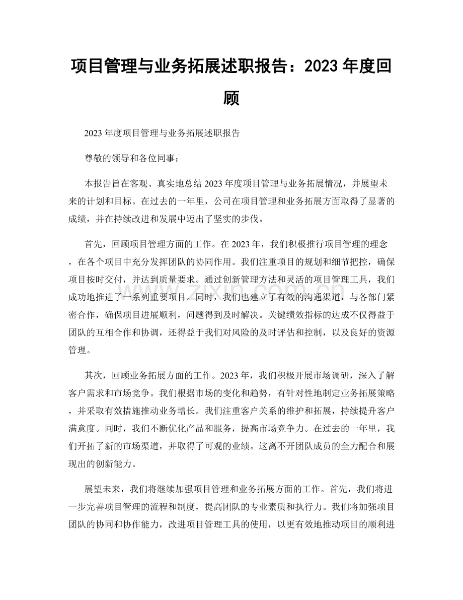 项目管理与业务拓展述职报告：2023年度回顾.docx_第1页