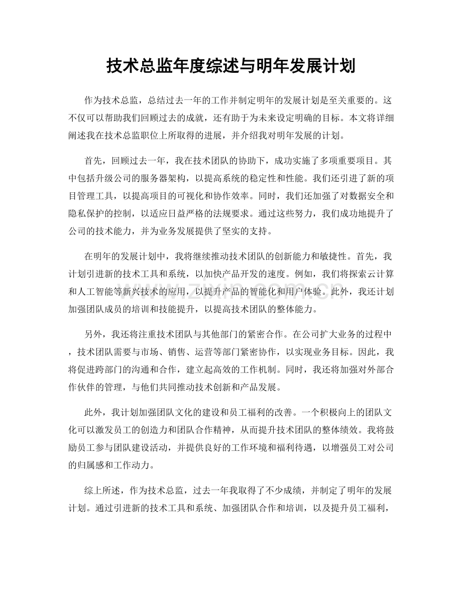 技术总监年度综述与明年发展计划.docx_第1页