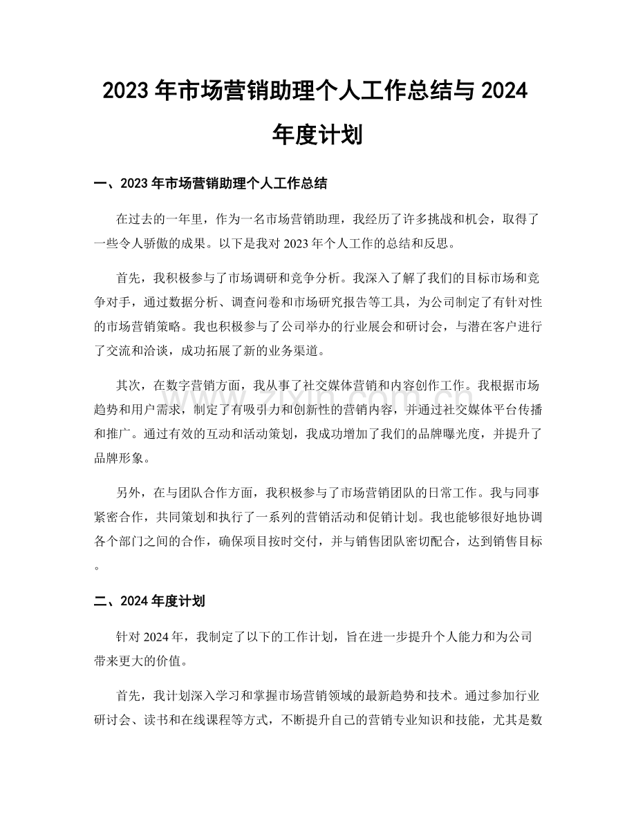 2023年市场营销助理个人工作总结与2024年度计划.docx_第1页