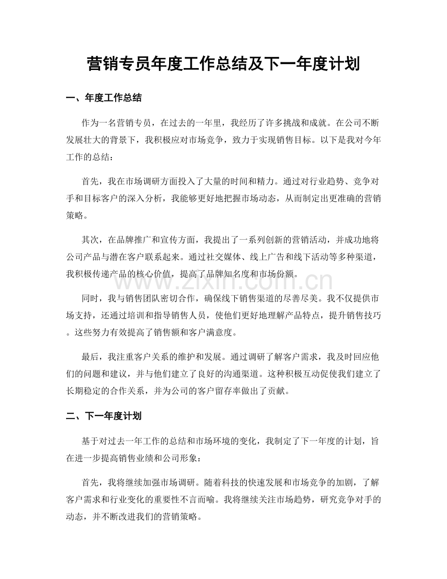 营销专员年度工作总结及下一年度计划.docx_第1页