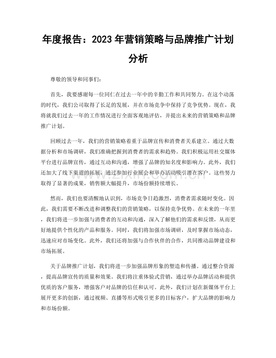 年度报告：2023年营销策略与品牌推广计划分析.docx_第1页