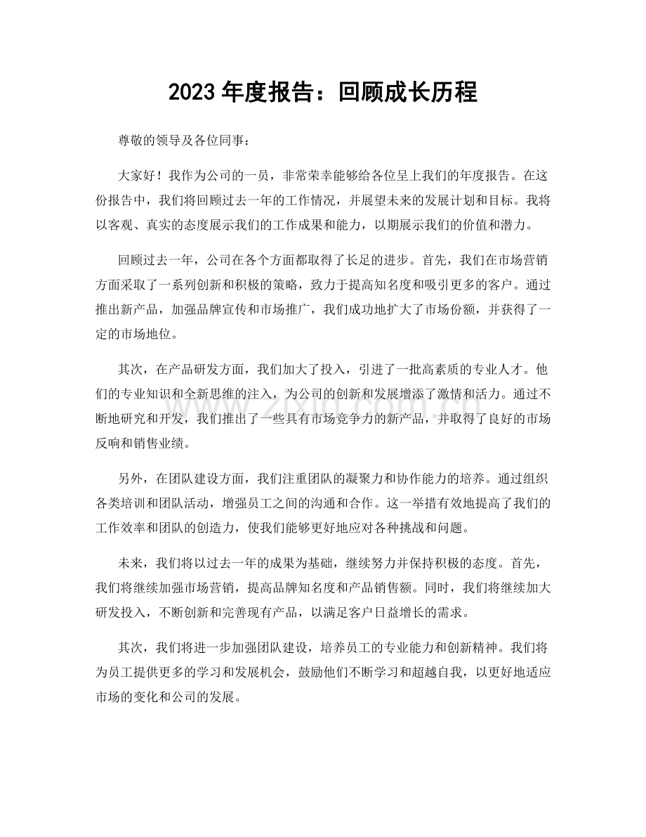 2023年度报告：回顾成长历程.docx_第1页