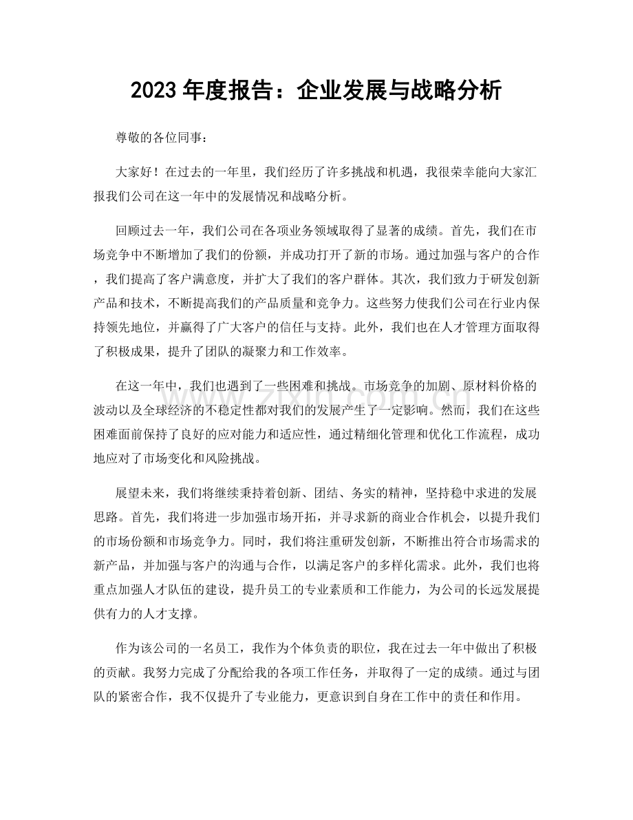 2023年度报告：企业发展与战略分析.docx_第1页