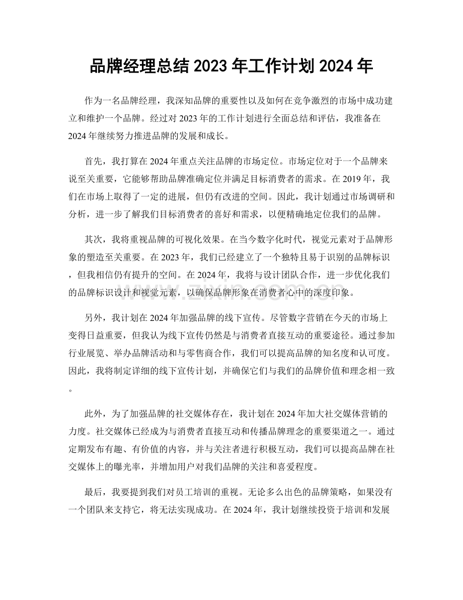 品牌经理总结2023年工作计划2024年.docx_第1页