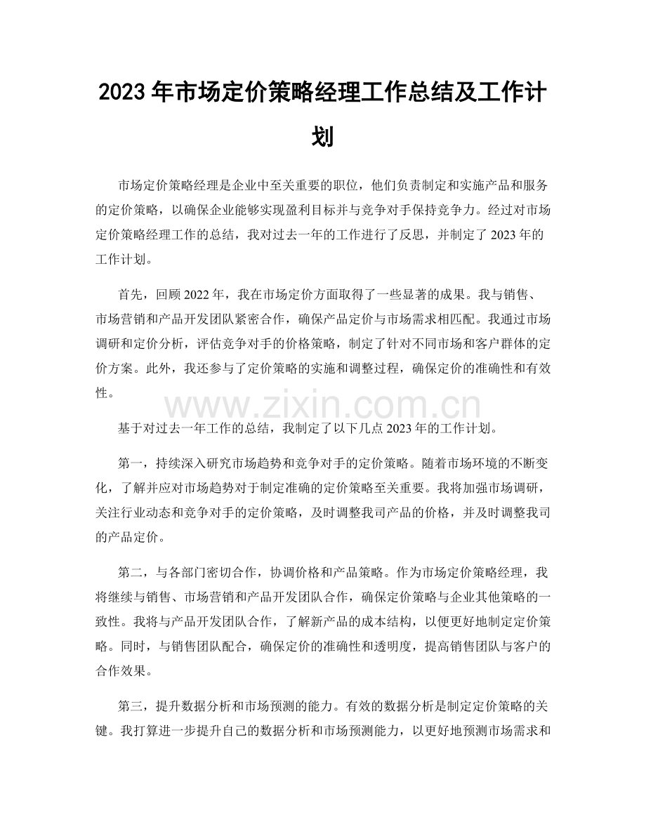 2023年市场定价策略经理工作总结及工作计划.docx_第1页