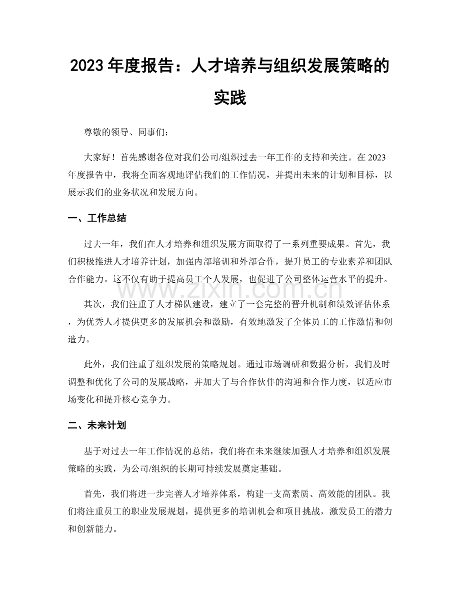 2023年度报告：人才培养与组织发展策略的实践.docx_第1页