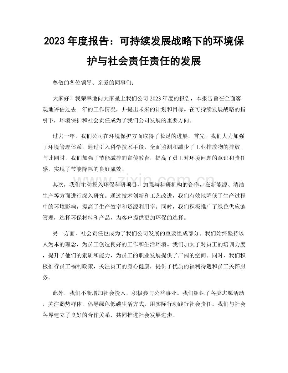 2023年度报告：可持续发展战略下的环境保护与社会责任责任的发展.docx_第1页