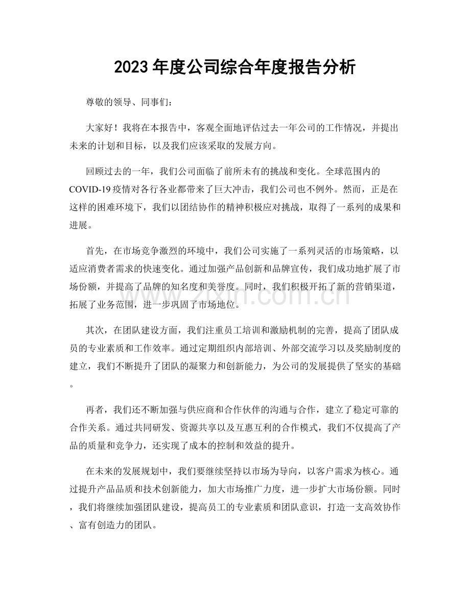 2023年度公司综合年度报告分析.docx_第1页