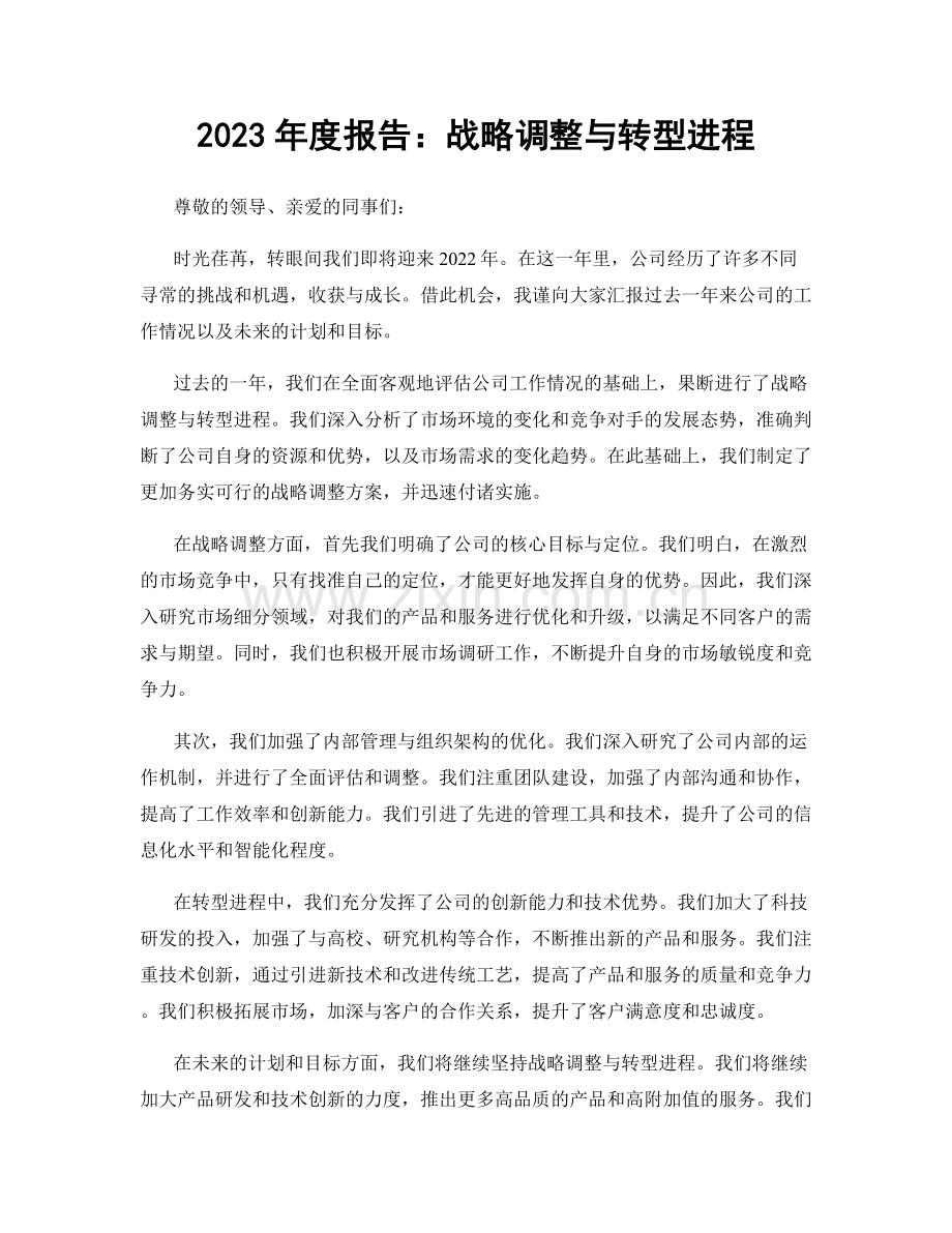 2023年度报告：战略调整与转型进程.docx_第1页