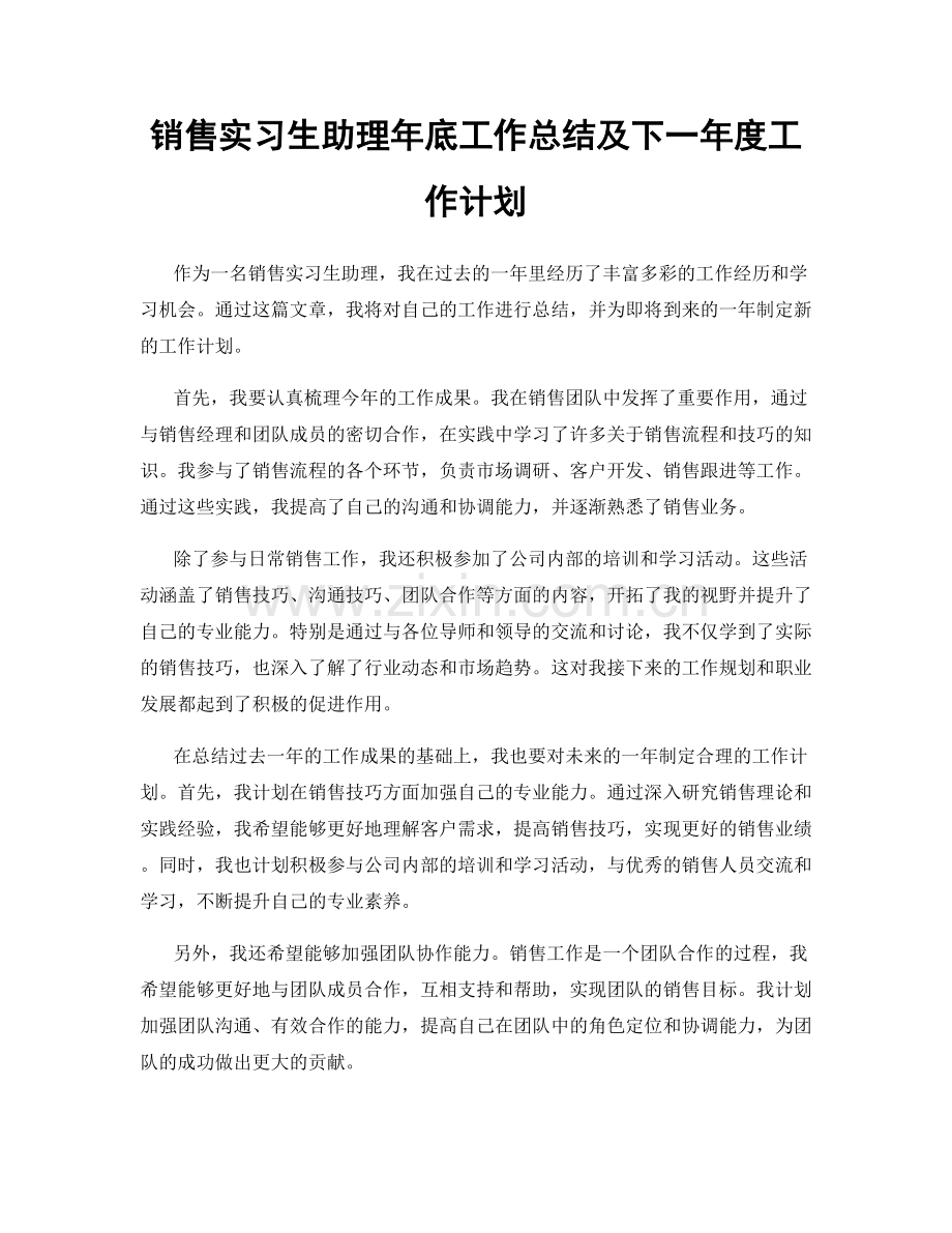 销售实习生助理年底工作总结及下一年度工作计划.docx_第1页