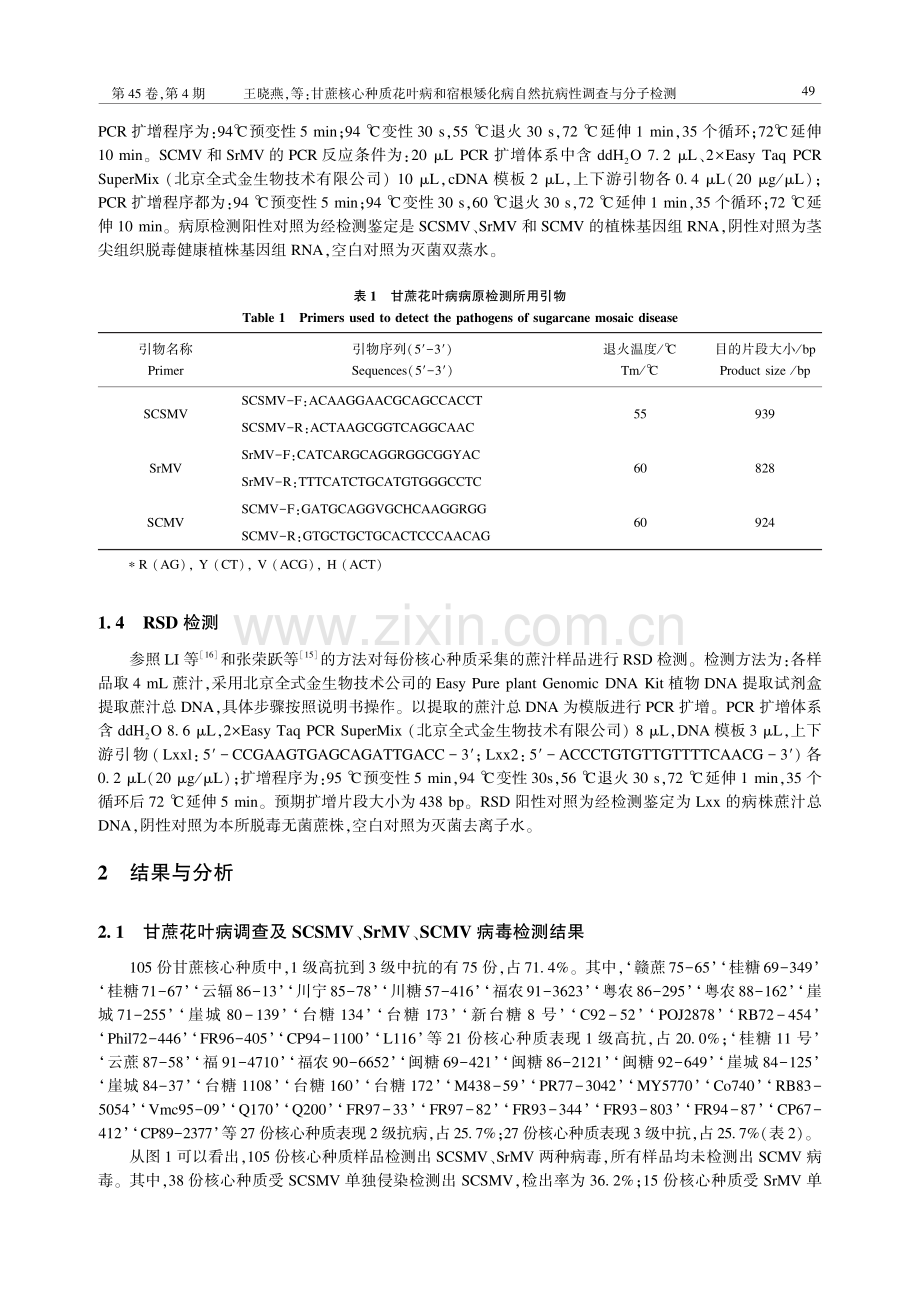 甘蔗核心种质花叶病和宿根矮化病自然抗病性调查与分子检测.pdf_第3页