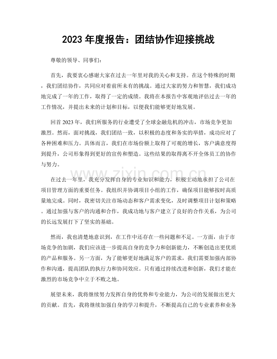 2023年度报告：团结协作迎接挑战.docx_第1页