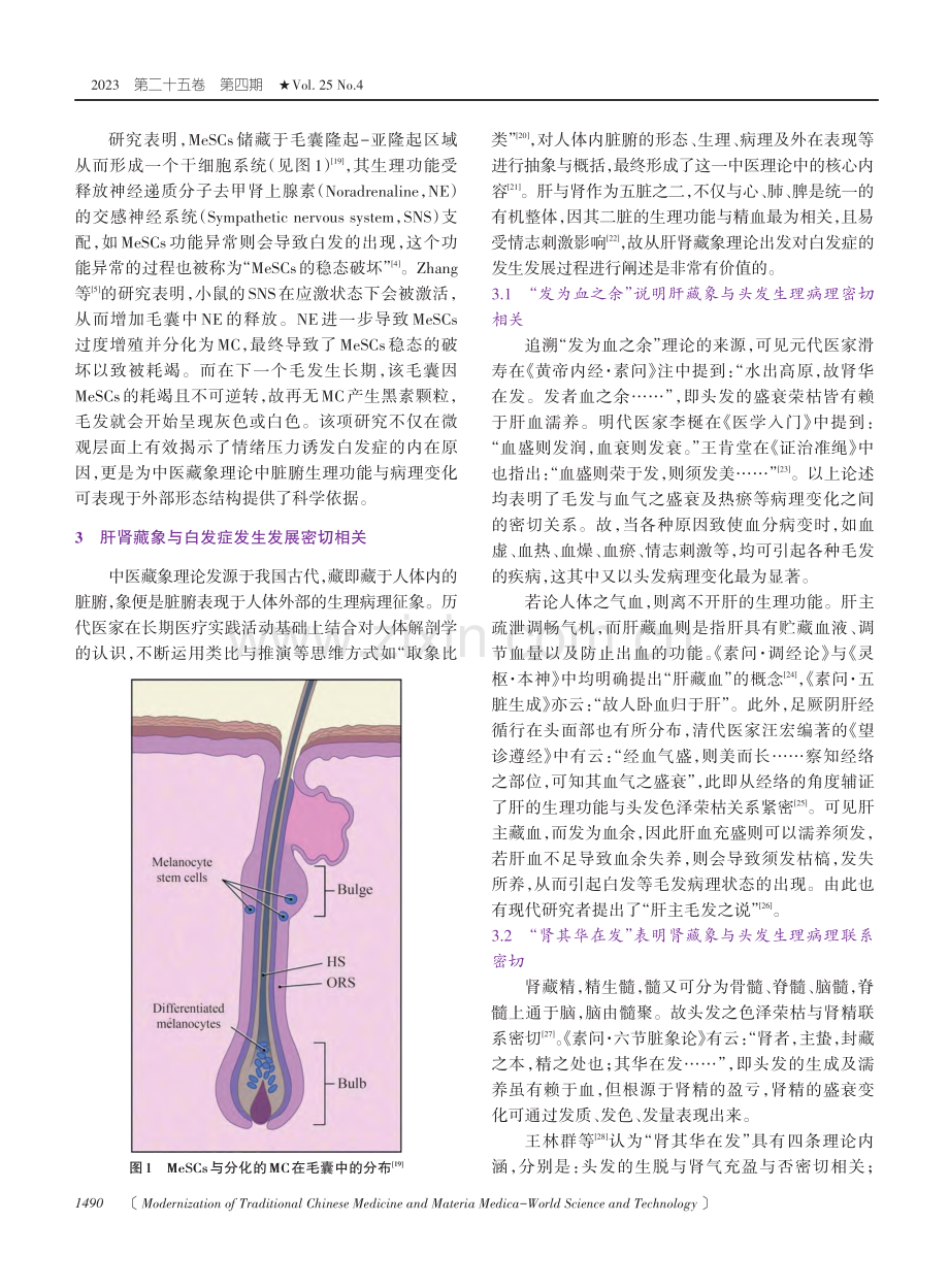 肝肾藏象视域下情志刺激影响MeSCs稳态变化诱发白发症的机制探析.pdf_第3页