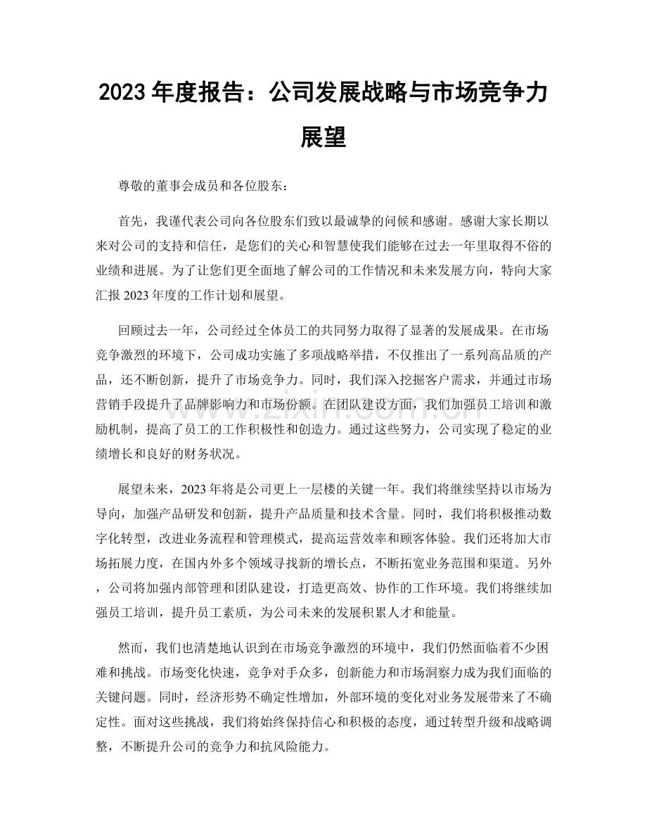 2023年度报告：公司发展战略与市场竞争力展望.docx_第1页