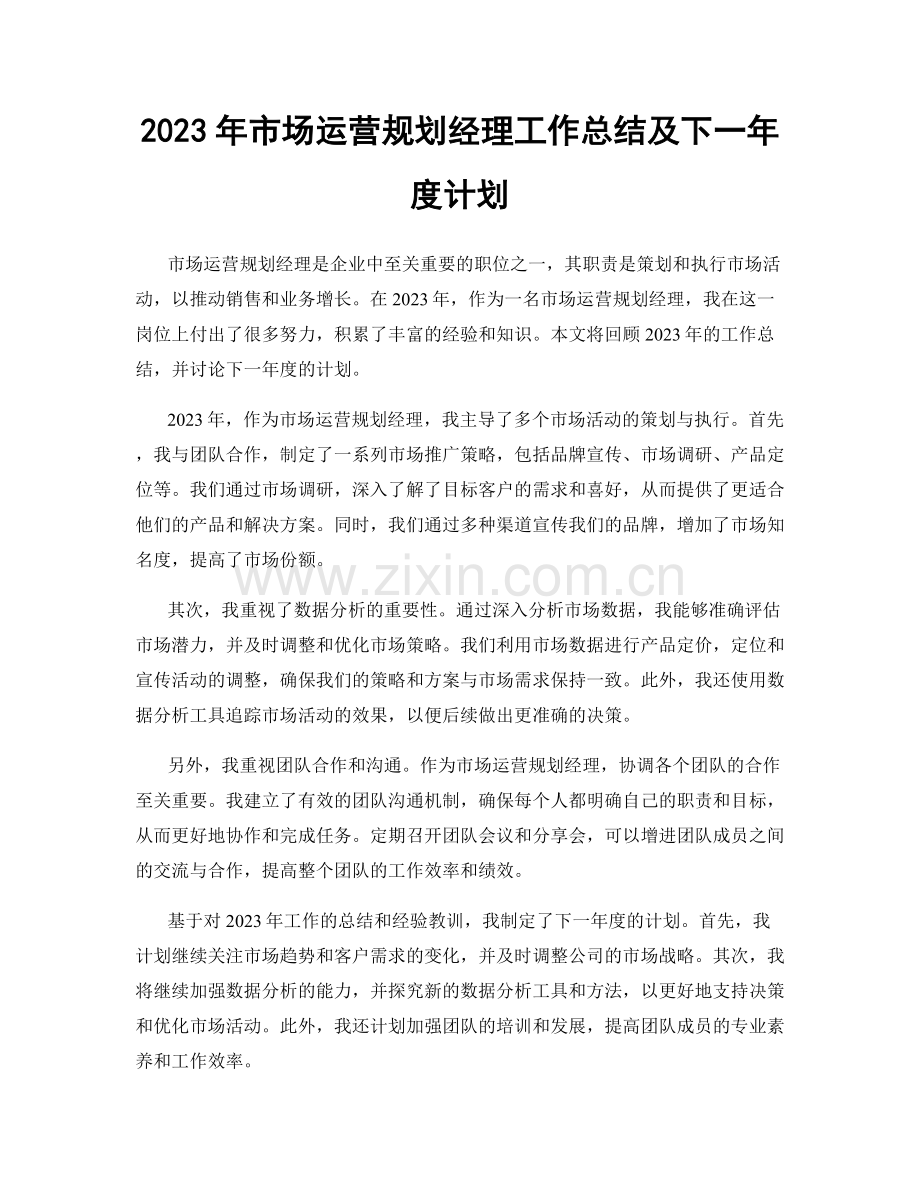 2023年市场运营规划经理工作总结及下一年度计划.docx_第1页